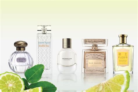 perfumes that smell like bergamot